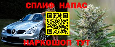 эйфоретик Кохма
