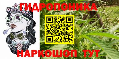 эйфоретик Кохма