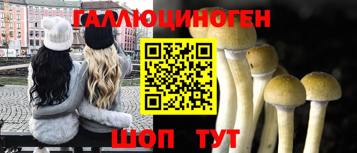 Псилоцибиновые грибы Cubensis  Вход с VPN  Астрахань 